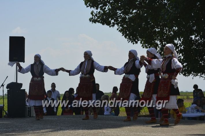 alexandriamou.gr_trikala28.5.2018133